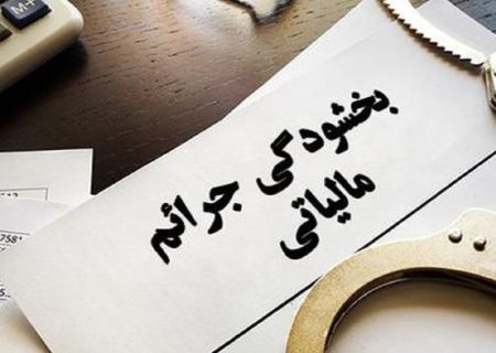 بخشودگی جرائم مالیاتی مودیان کردستانی به مناسبت دهه فجر