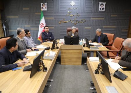 معاون استاندار: پیری جمعیت، کردستان را تهدید می‌کند