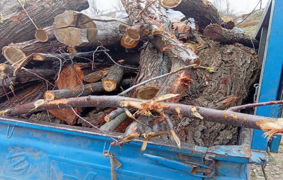 دستگیری قاچاقچی چوب در سقز