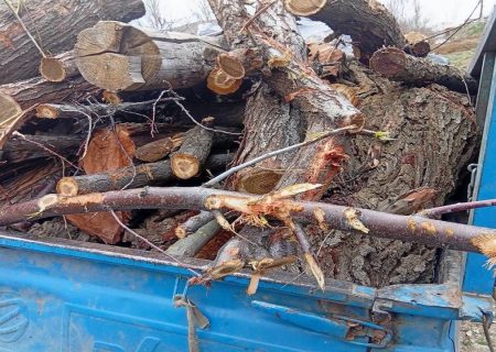 دستگیری قاچاقچی چوب در سقز