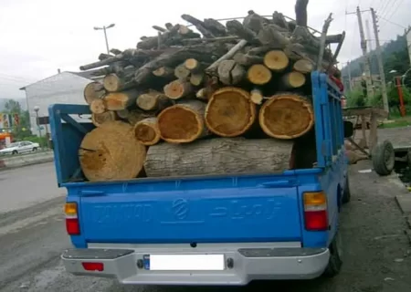 تشکیل بیش از ۲۲۰۰ پرونده زمین‌خواری و قاچاق چوب در کردستان