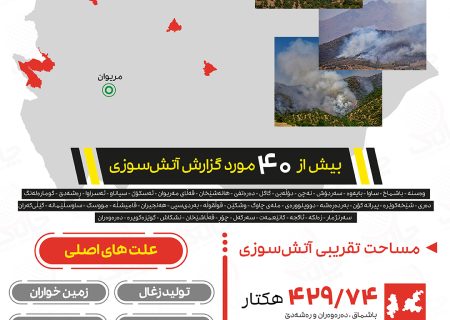 آمار آتش سوزی جنگل های مریوان در سال 1403 + اینفوگرافیک