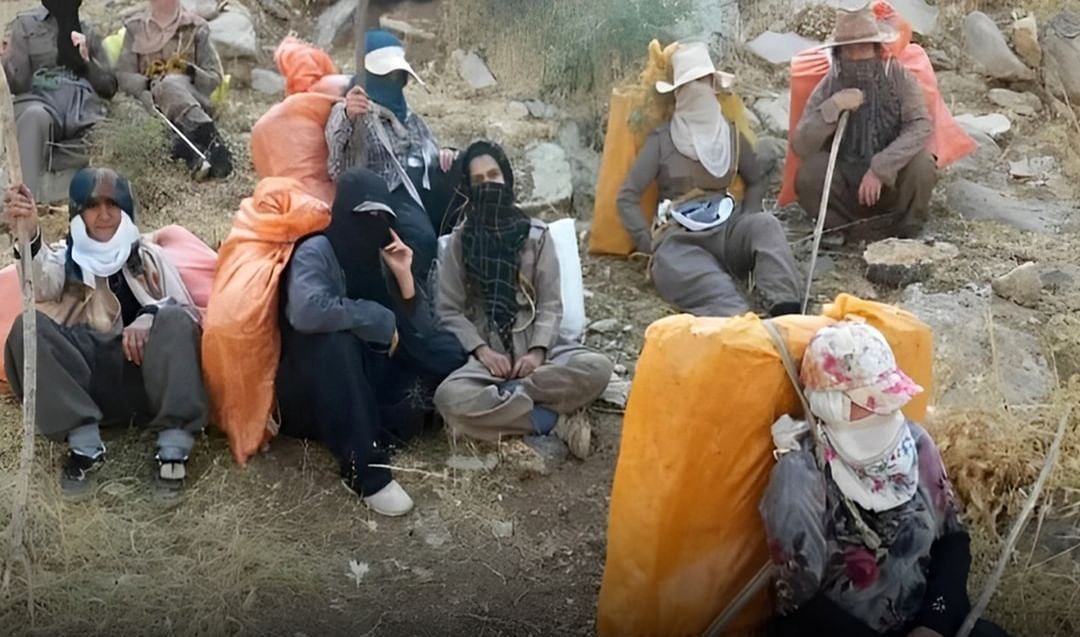 تکذیب خبر فوت زن کولبر در پاوه