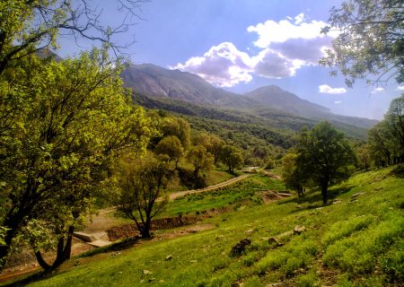 اهمیت جنگل‌های زاگرس در مریوان و ضرورت حفظ آن‌ها در برابر آتش‌سوزی‌ها