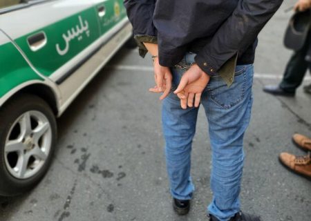 ۱۷ سارق در خردادماه امسال در مریوان دستگیر شدند