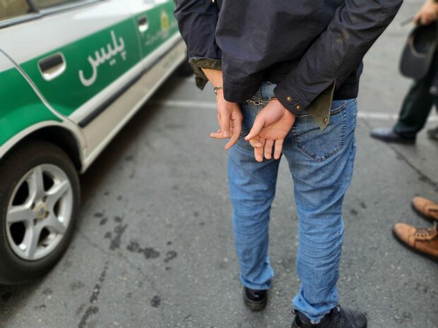 ۱۷ سارق در خردادماه امسال در مریوان دستگیر شدند