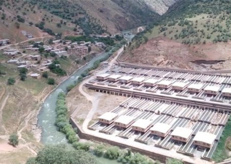 تولید ماهی در کردستان ۱۴ درصد افزایش یافت