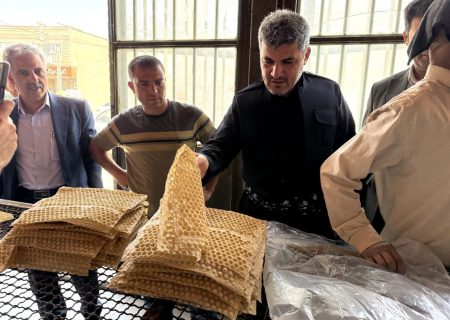 بازدید فرماندار مریوان از نانوایی‌ها و انبارهای اقلام اساسی / فعال‌سازی ۱۰ نانوایی در شیفت عصر