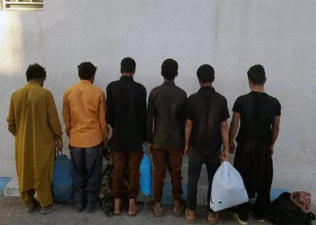 ۱۸ تبعه غیرمجاز افغانستانی در شهرستان قروه دستگیر شدند