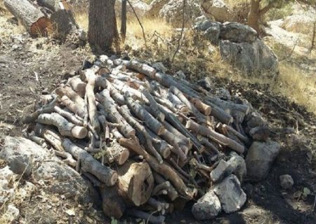 ۲۵ باب کوره زغال‌گیری در مریوان منهدم شد
