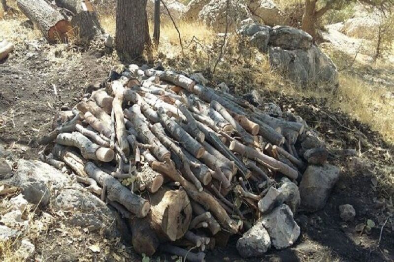 ۲۵ باب کوره زغال‌گیری در مریوان منهدم شد