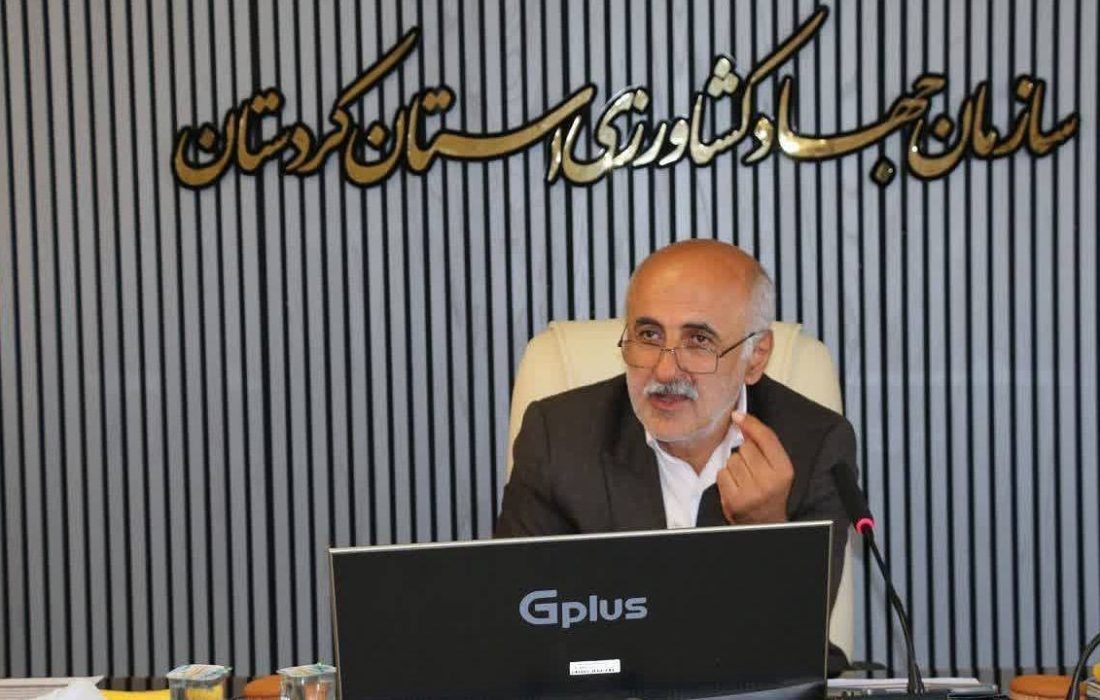 کردستان در اوج تولید گندم/ خرید تضمینی از ۶۳۰ هزار تن فراتر رفت