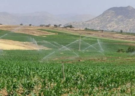 اتمام عملیات تکمیلی جنوب دریاچه زریبار مریوان