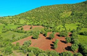 مبارزه قاطعانه با تخریب اراضی ملی در مریوان/ ۳۲ فقره تخلف به مراجع قضایی ارجاع شد