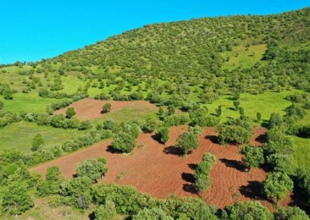 مبارزه قاطعانه با تخریب اراضی ملی در مریوان/ ۳۲ فقره تخلف به مراجع قضایی ارجاع شد