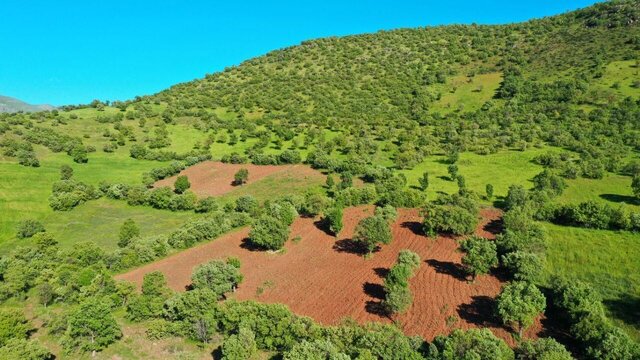 مبارزه قاطعانه با تخریب اراضی ملی در مریوان/ ۳۲ فقره تخلف به مراجع قضایی ارجاع شد