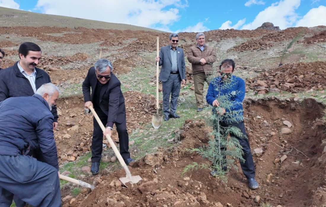 پویش درختکاری «سرو ایران» در سنندج