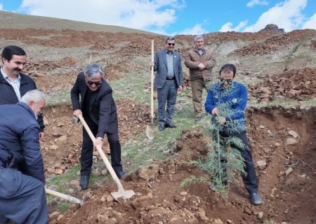 پویش درختکاری «سرو ایران» در سنندج