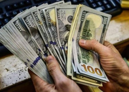 قاچاقچی ارز در مریوان به پرداخت ۲۱ میلیارد ریال جریمه محکوم شد