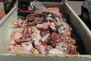 ۲ تن مواد غذایی غیرمجاز و تاریخ‌مصرف‌گذشته در مریوان معدوم شد