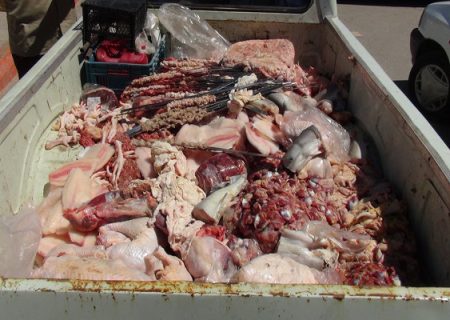 ۲ تن مواد غذایی غیرمجاز و تاریخ‌مصرف‌گذشته در مریوان معدوم شد