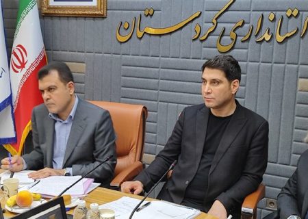 استاندار کردستان: حمایت از شرکت‌های دانش‌بنیان باید افزایش یابد