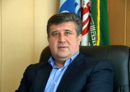 رشد ۲۴۶ درصدی مشترکان فیبر نوری در کردستان