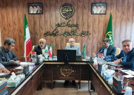 تصویب ۳۹ طرح در کمیسیون تبصره یک ماده یک کردستان