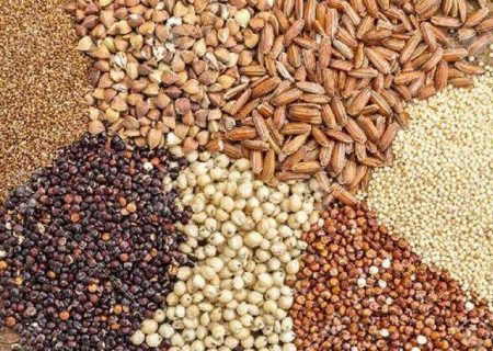 توزیع بیش از ۶۸ هزار تن نهاده دامی در کردستان