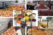 صدور ۷۸۲ مجوز صنایع تبدیلی کشاورزی در کردستان؛ پیش‌بینی اشتغال ۵ هزار نفر در طرح‌های جدید