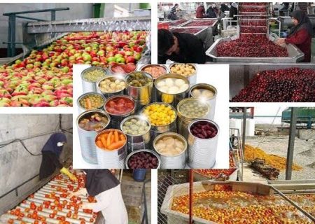 صدور ۷۸۲ مجوز صنایع تبدیلی کشاورزی در کردستان؛ پیش‌بینی اشتغال ۵ هزار نفر در طرح‌های جدید